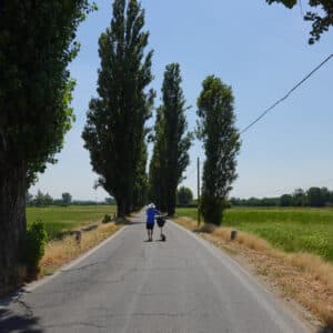 Breite Strasse E-Scooter Route